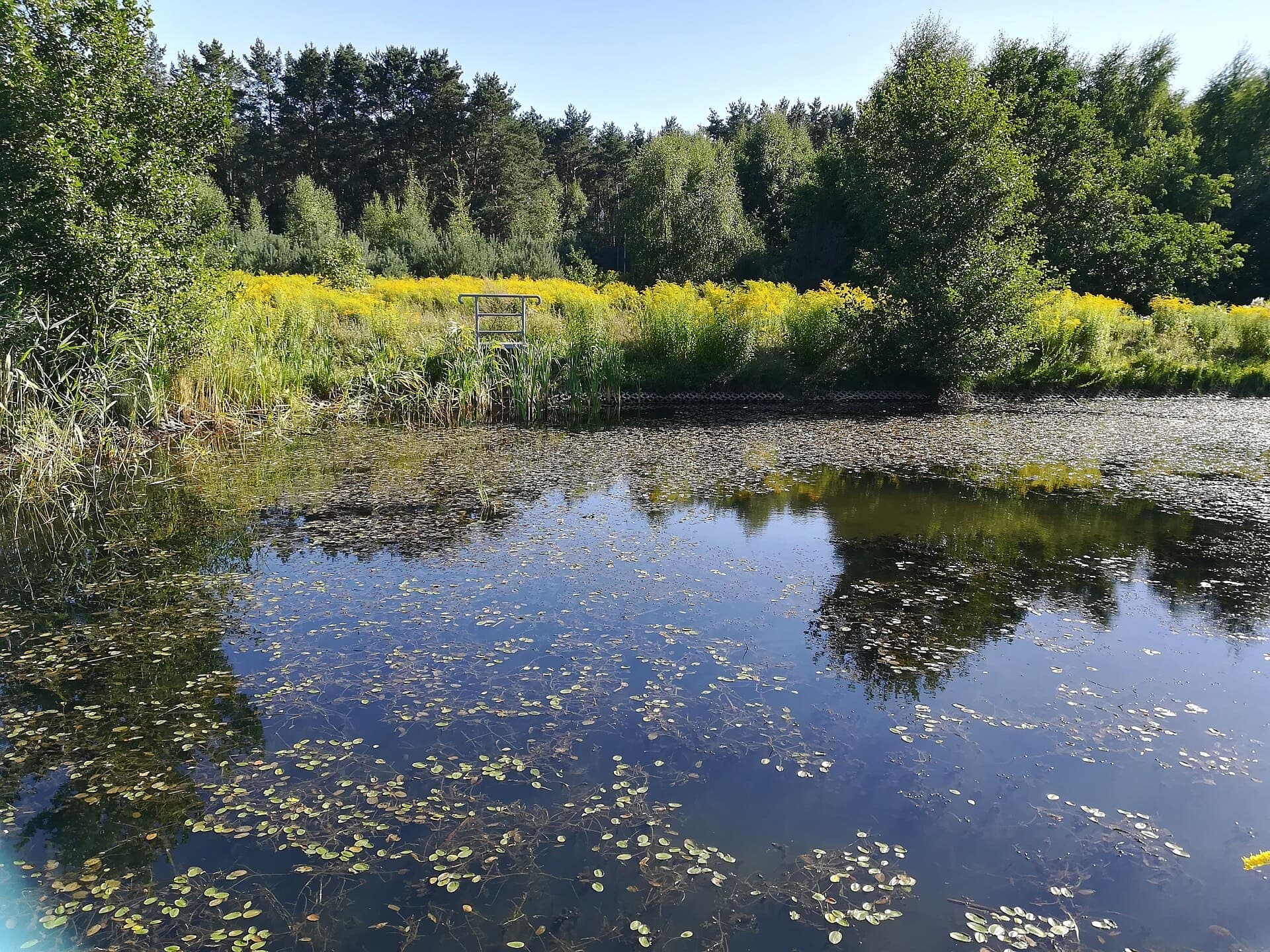 Poznań’s Most Cosmic Green Space: The Morasko Meteorite Nature Reserve